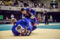 COMPETITION CLASS